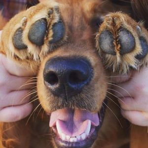 Meet your Posher, Kallie-ann